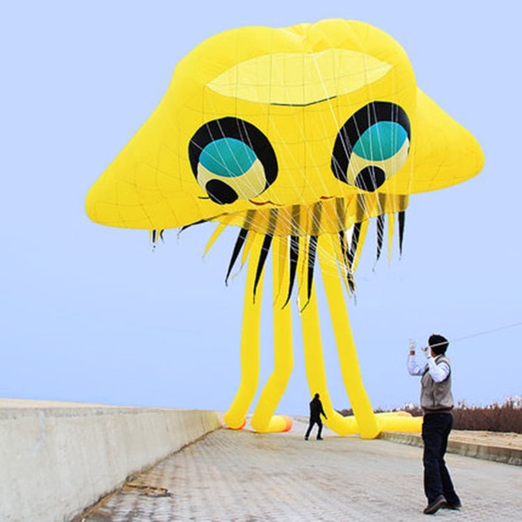 Foto del prodotto