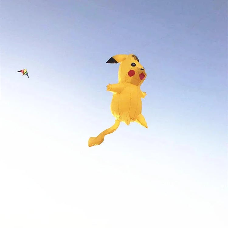 Foto del prodotto
